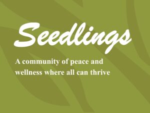 Seedlings Newsletter with green background and leafs