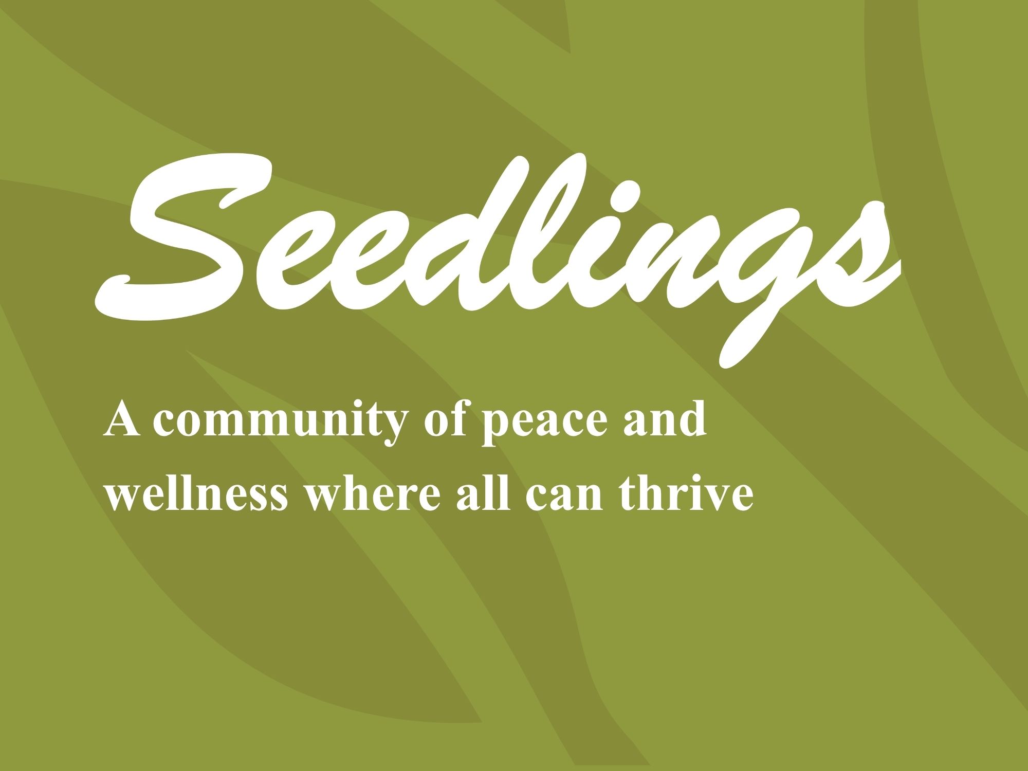 Seedlings Newsletter with green background and leafs